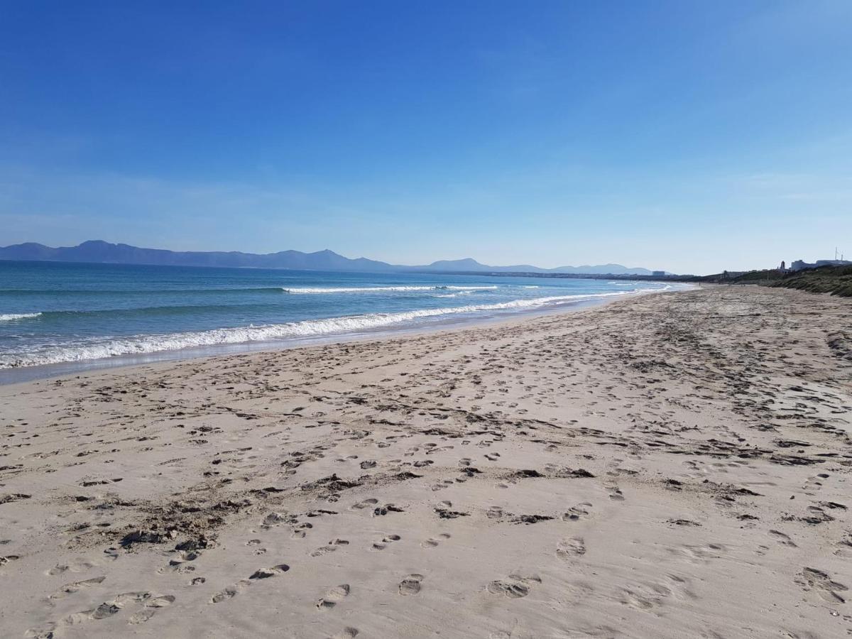 Ideal Property Mallorca - Nenufars 알쿠디아 외부 사진