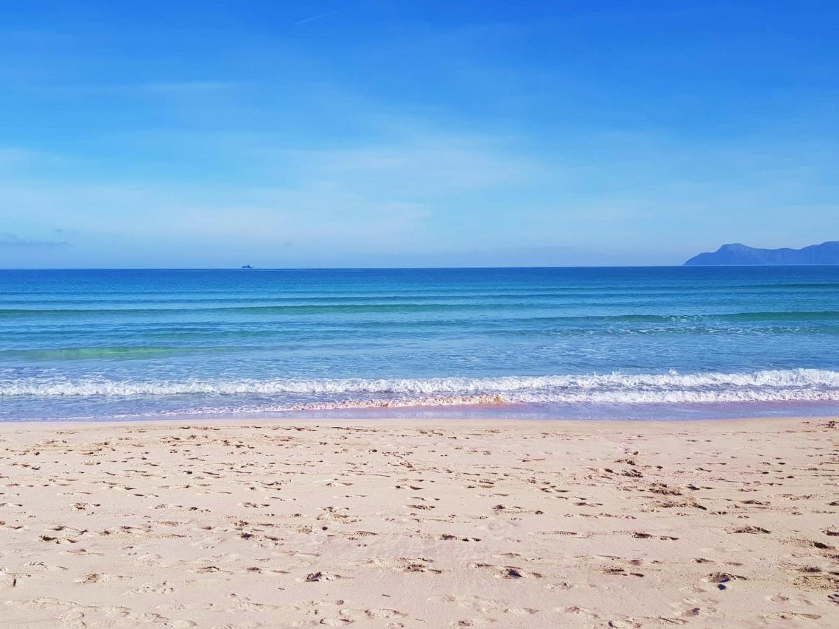 Ideal Property Mallorca - Nenufars 알쿠디아 외부 사진